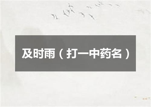 及时雨（打一中药名）