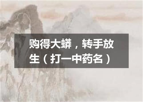 购得大蟒，转手放生（打一中药名）