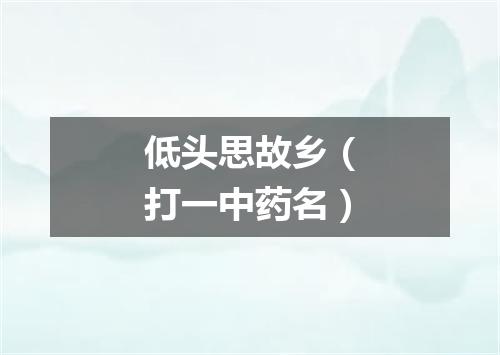 低头思故乡（打一中药名）