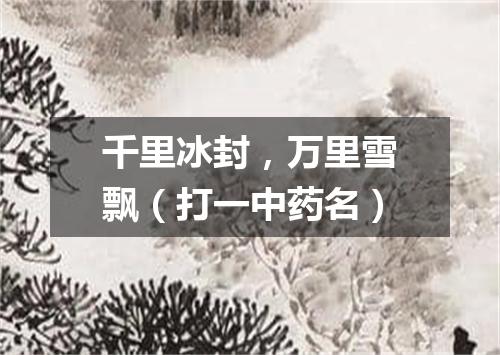 千里冰封，万里雪飘（打一中药名）