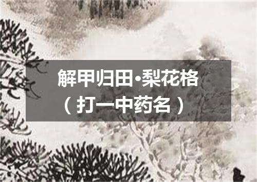 解甲归田·梨花格（打一中药名）