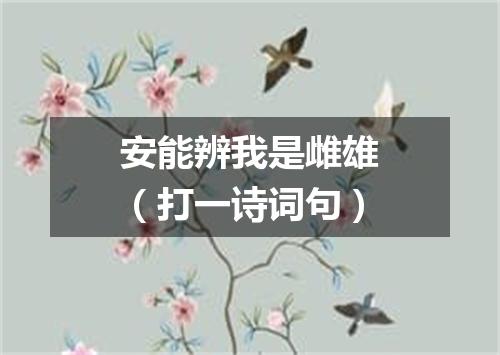 安能辨我是雌雄（打一诗词句）