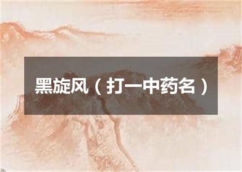 黑旋风（打一中药名）