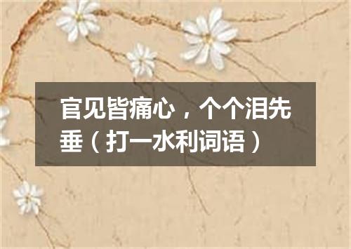 官见皆痛心，个个泪先垂（打一水利词语）