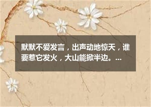 默默不爱发言，出声动地惊天，谁要惹它发火，大山能掀半边。（打一军事物品）