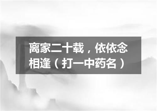 离家二十载，依依念相逢（打一中药名）