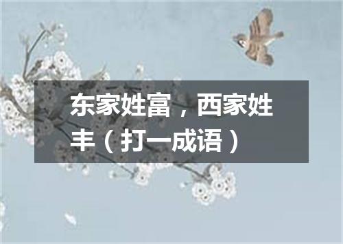 东家姓富，西家姓丰（打一成语）