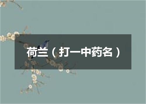 荷兰（打一中药名）