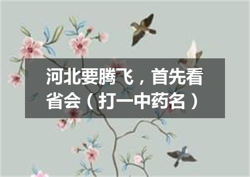 河北要腾飞，首先看省会（打一中药名）