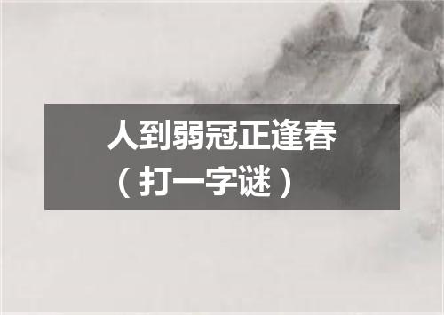 人到弱冠正逢春（打一字谜）