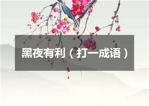 黑夜有利（打一成语）