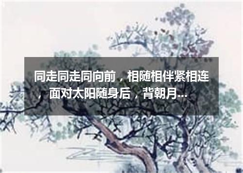 同走同走同向前，相随相伴紧相连， 面对太阳随身后，背朝月亮站身前。（打一自然现象）