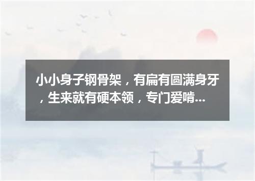 小小身子钢骨架，有扁有圆满身牙，生来就有硬本领，专门爱啃硬疙瘩。（打一常用物）