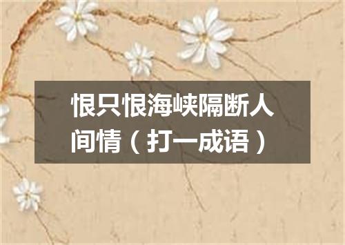 恨只恨海峡隔断人间情（打一成语）