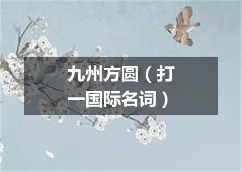 九州方圆（打一国际名词）