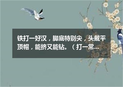 铁打一好汉，脚底特别尖，头戴平顶帽，能挤又能钻。（打一常用物）