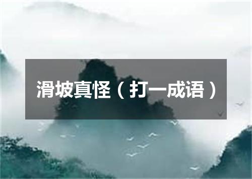 滑坡真怪（打一成语）