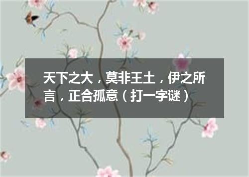 天下之大，莫非王土，伊之所言，正合孤意（打一字谜）