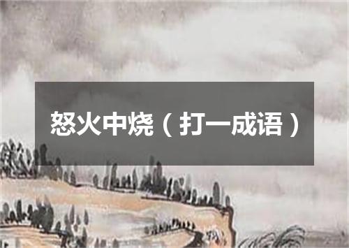怒火中烧（打一成语）