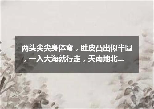 两头尖尖身体弯，肚皮凸出似半圆，一入大海就行走，天南地北游个遍。（打一交通工具）