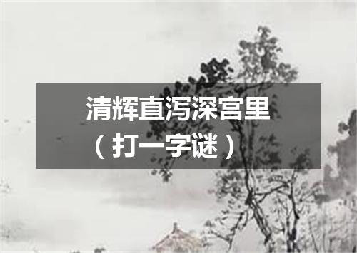 清辉直泻深宫里（打一字谜）