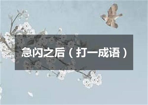 急闪之后（打一成语）