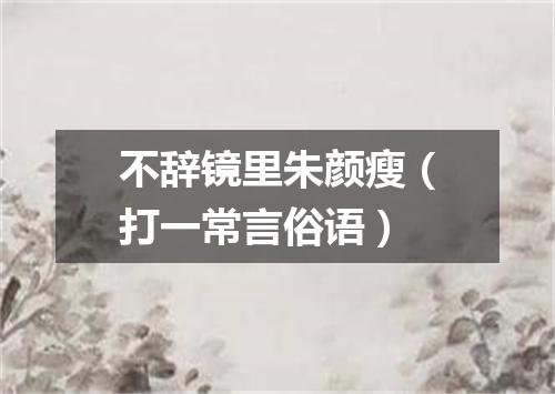 不辞镜里朱颜瘦（打一常言俗语）