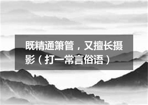 既精通箫管，又擅长摄影（打一常言俗语）