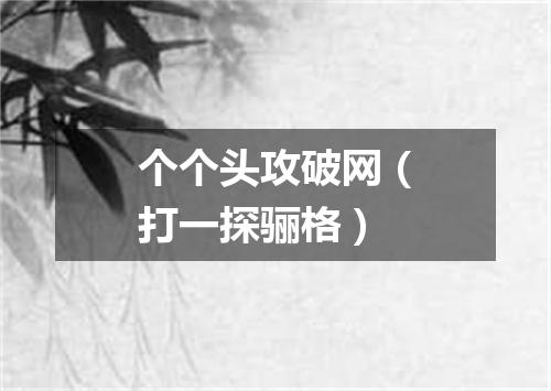 个个头攻破网（打一探骊格）