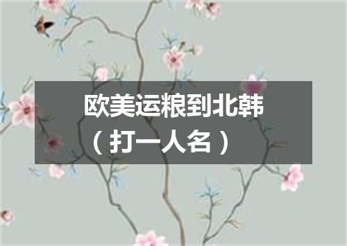 欧美运粮到北韩（打一人名）