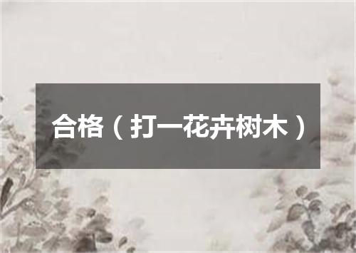 合格（打一花卉树木）