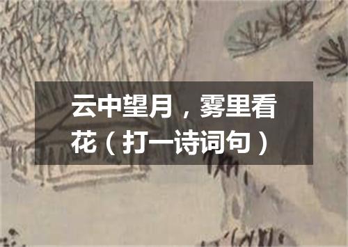 云中望月，雾里看花（打一诗词句）