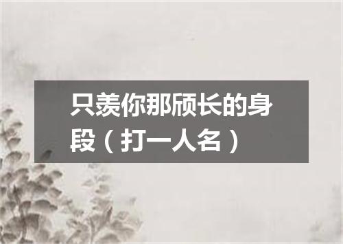 只羡你那颀长的身段（打一人名）