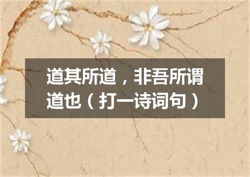 道其所道，非吾所谓道也（打一诗词句）