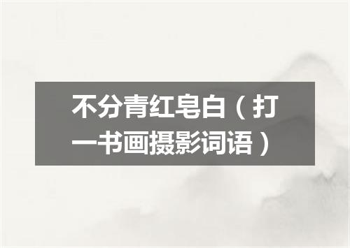 不分青红皂白（打一书画摄影词语）