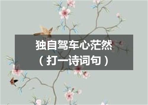 独自驾车心茫然（打一诗词句）