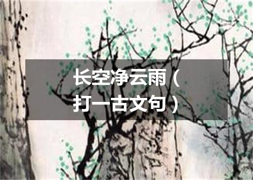 长空净云雨（打一古文句）