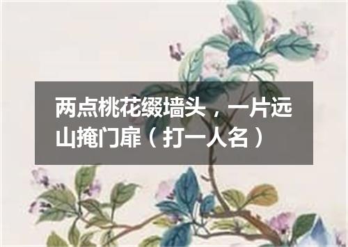 两点桃花缀墙头，一片远山掩门扉（打一人名）
