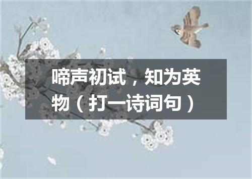 啼声初试，知为英物（打一诗词句）