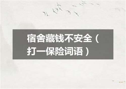宿舍藏钱不安全（打一保险词语）