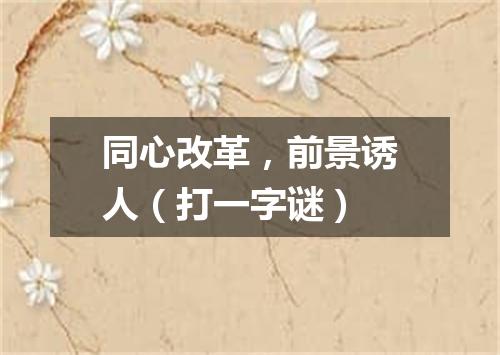 同心改革，前景诱人（打一字谜）