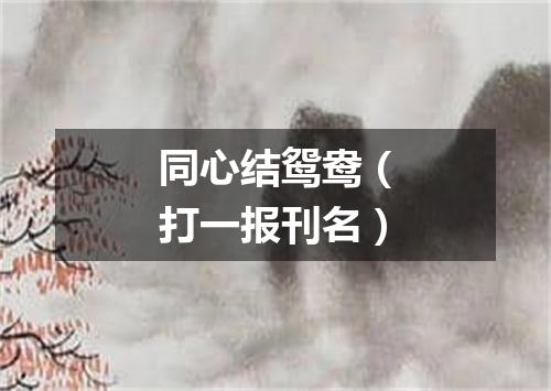 同心结鸳鸯（打一报刊名）