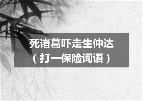 死诸葛吓走生仲达（打一保险词语）
