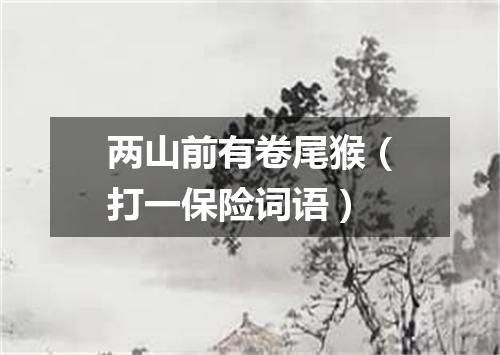 两山前有卷尾猴（打一保险词语）