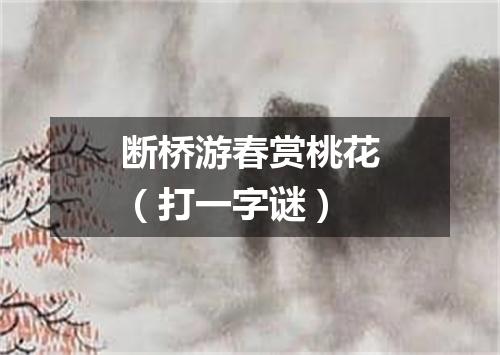 断桥游春赏桃花（打一字谜）