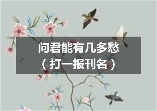 问君能有几多愁（打一报刊名）
