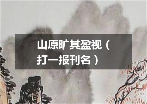 山原旷其盈视（打一报刊名）