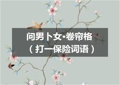 问男卜女·卷帘格（打一保险词语）