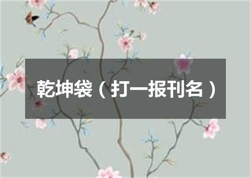 乾坤袋（打一报刊名）