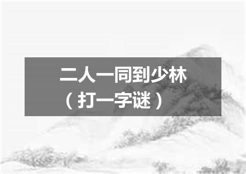 二人一同到少林（打一字谜）